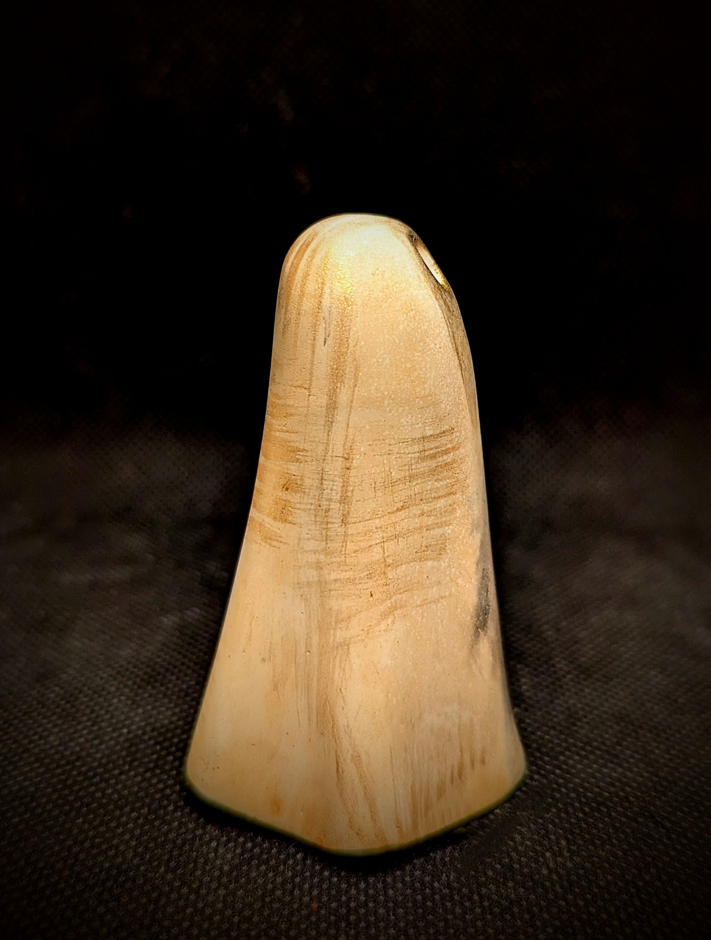 Maison Appuldurcombe